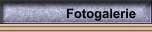 Fotogalerie